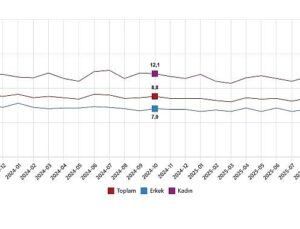 İşgücü İstatistikleri, Ekim 2025
