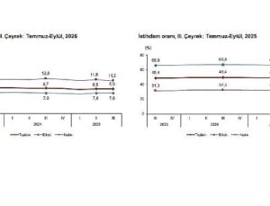 İşgücü İstatistikleri, III. Çeyrek: Temmuz-Eylül, 2025