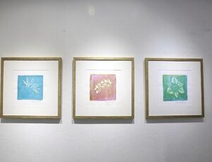 “Işığın İzi” standı Nilüfer’de