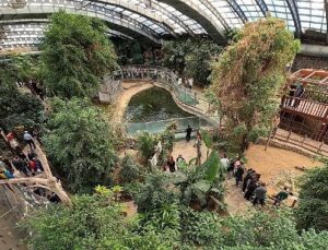 İzmir Doğal Hayat Parkı’na ziyaretçi akını