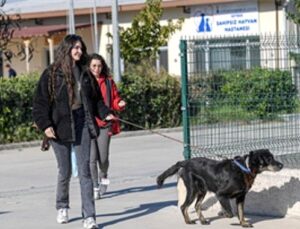 İzmirli hayvansever Çörekçi’nin emanetlerine İzmir Büyükşehir Belediyesi sahip çıktı