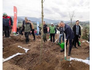 Karamürsel’de yanan bölge 3 bin fidanla yine yeşerecek