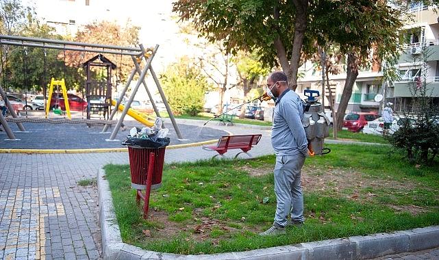 Karşıyaka’da haşerelere karşı kararlı uğraş