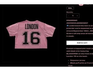 Kaspersky, BlackPink Dünya Çeşidi Sırasında Ortaya Çıkan Düzmece Eser Dolandırıcılıklarını Tespit Etti