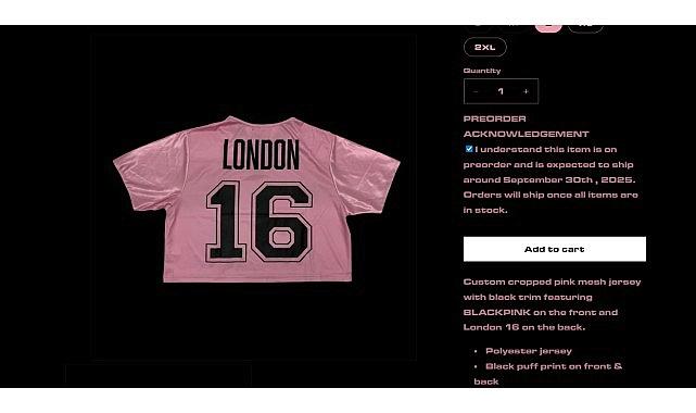 Kaspersky, BlackPink Dünya Çeşidi Sırasında Ortaya Çıkan Düzmece Eser Dolandırıcılıklarını Tespit Etti