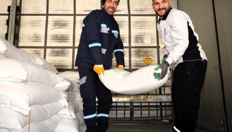 Kocaeli Büyükşehir’den Arıcılara Destek