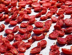 Kuru domates ihracatı 100 milyon doları aştı