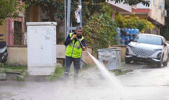 Maltepe’de toplu paklık seferberliği devam ediyor