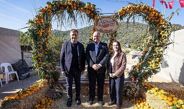 Mandalinanın başşehrinde şenlik heyecanı