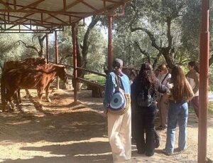 Narlıdere Belediyesi’nden Gönüllülere Teşekkür