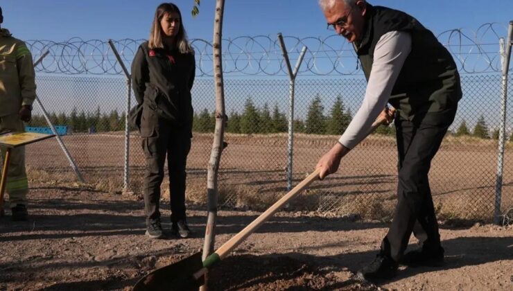 OGM: 30 Milyon Fidan Sahiplenildi