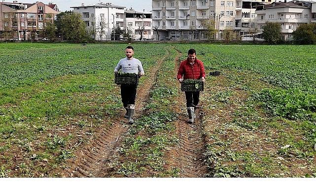 Osmangazi Belediyesi Doğal Üretimle Sofralara Sıhhat Sunuyor