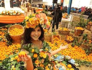 Seferihisar’ın esaslı geleneklerinden biri olan Mandalina Şenliği, bu yıl 25’inci sefer düzenleniyor.