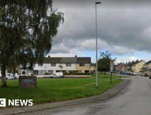 Son given life sentence for murdering his 75-year-old mother