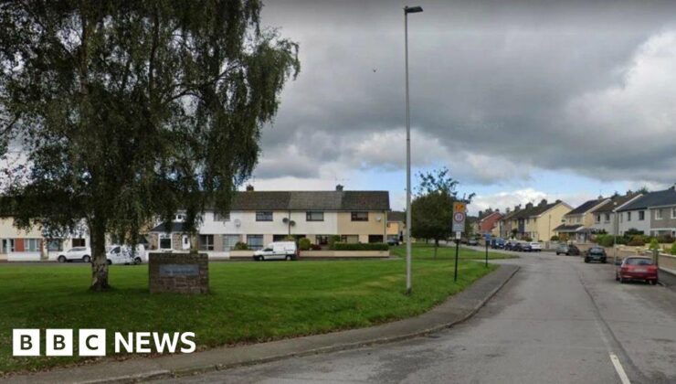 Son given life sentence for murdering his 75-year-old mother