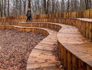 Sonbahar, huzurun adresi Ormanya’da bir öbür