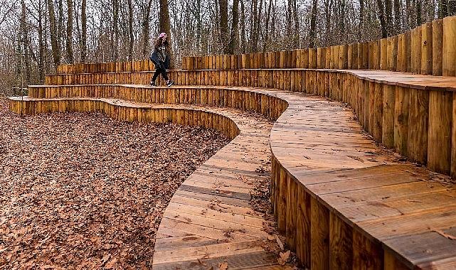 Sonbahar, huzurun adresi Ormanya’da bir öbür