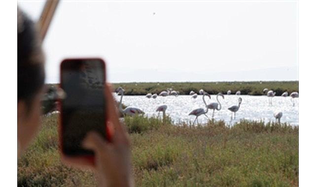 Tabiat ve lezzet tutkunları bu cinsleri çok sevecek