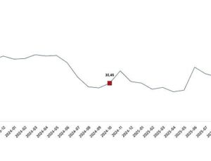 Tarım Eserleri Üretici Fiyat Endeksi, Ekim 2025
