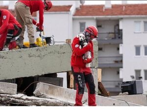 Torbalı’da Hayvan Arama Kurtarma Eğitimi