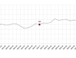 Tüketici İtimat Endeksi, Kasım 2025