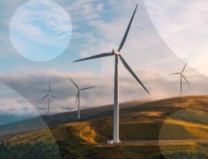 UiPath, Yapay Zekâ ve Otomasyonla Enerjisa’nın Dijital Dönüşümünü Hızlandırdı