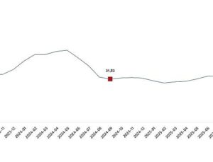 Ziraî Girdi Fiyat Endeksi, Eylül 2025