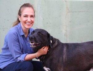 1 yılda 40 bin can dosta şefkat eli uzandı