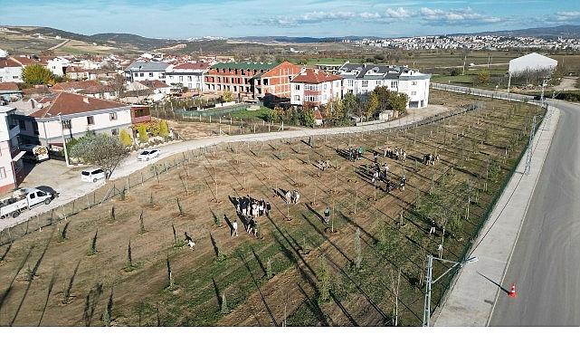 572 Fidanlı Koruluk Akhisar’a Nefes Olacak