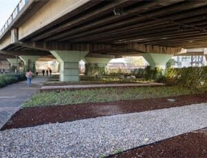 80 futbol alanı büyüklüğündeki alanda dönüşüm tamam