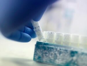 Are sperm banks in Denmark rejecting donors based on their IQ?