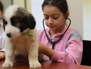 Bursa’da Minik Veterinerler Görev Başında