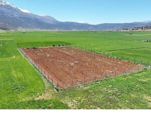 Büyükşehir Belediyesi’nden ziraî sulamaya büyük dayanak