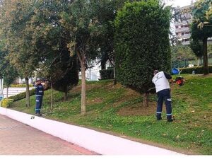 Büyükşehir’den yeşil alanlara özel bakım