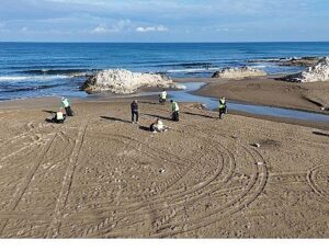 Büyükşehir’le pak kıyılar, güçlü yarınlar