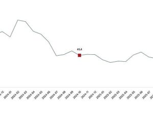 Ciro Endeksleri, Ekim 2025