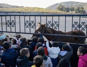 Çocuklara hayvan sevgisi kazandırılıyor