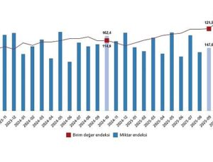 Dış Ticaret Endeksleri, Ekim 2025