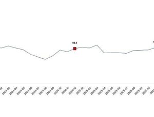 Ekonomik İtimat Endeksi, Aralık 2025
