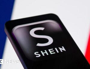 French court rejects Shein website suspension over childlike sex dolls