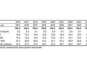 Gelir Dağılımı İstatistikleri, 2025