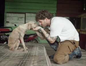 German influencer on New Year’s fireworks: ‘We’re collectively causing animal suffering’