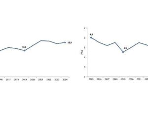 Girişimcilik ve İş Demografisi, 2024