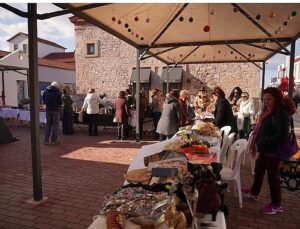 Her Şey Ayvalık Fidanları İçin