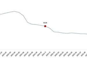 Hizmet Üretici Fiyat Endeksi, Kasım 2025