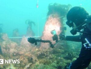 Huge undersea wall dating from 5000 BC found in France