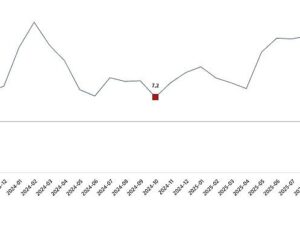 İnşaat Üretim Endeksi, Ekim 2025