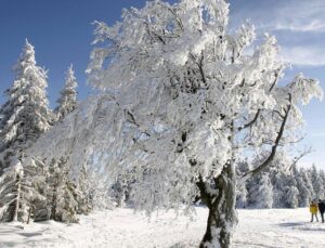 Is the winter of the century coming? Experts see chance of Arctic cold spells