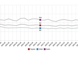 İşgücü İstatistikleri, Kasım 2025