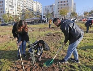 Karşıyaka’da zeytin fidanları toprakla buluştu